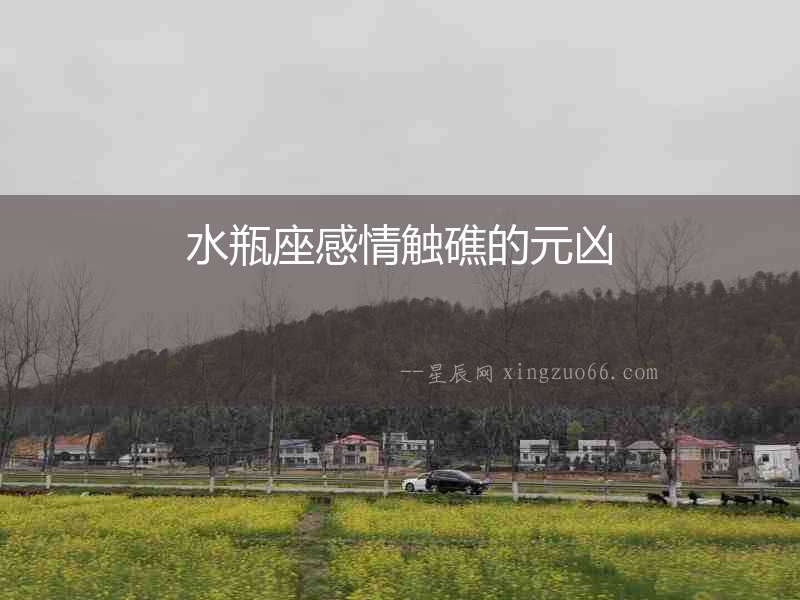 水瓶座感情觸礁的元兇