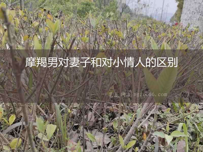 摩羯男對妻子和對小情人的區(qū)別