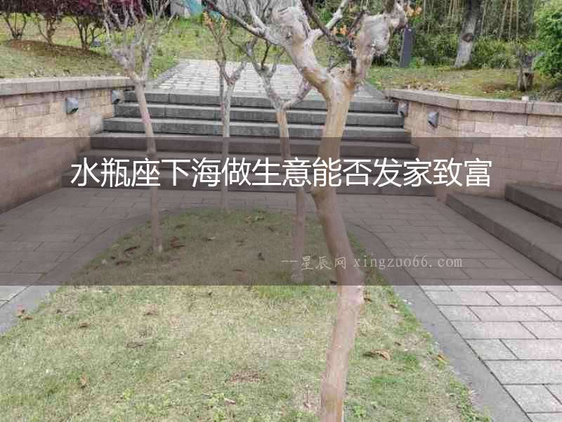 水瓶座下海做生意能否發家致富