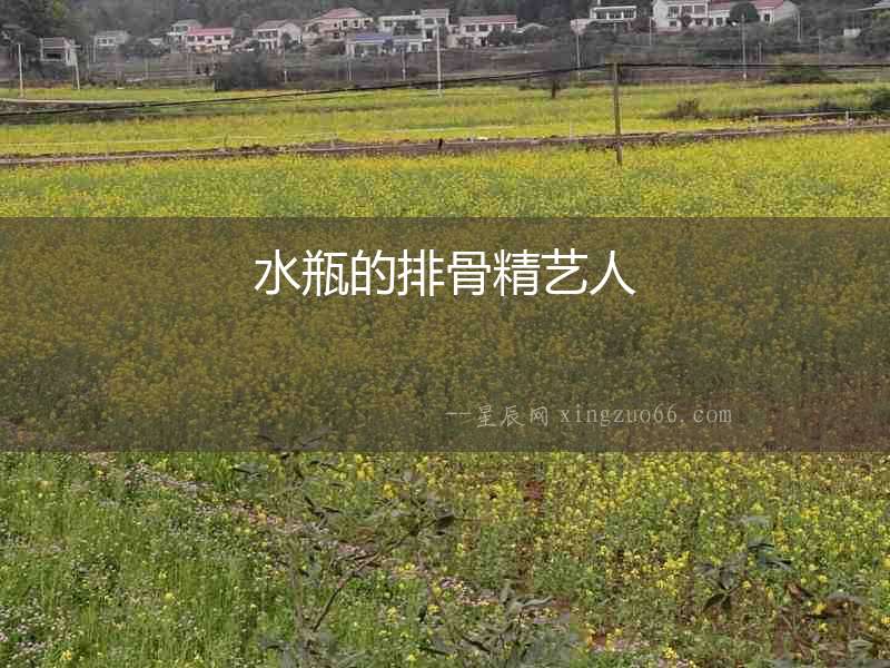 水瓶的排骨精藝人