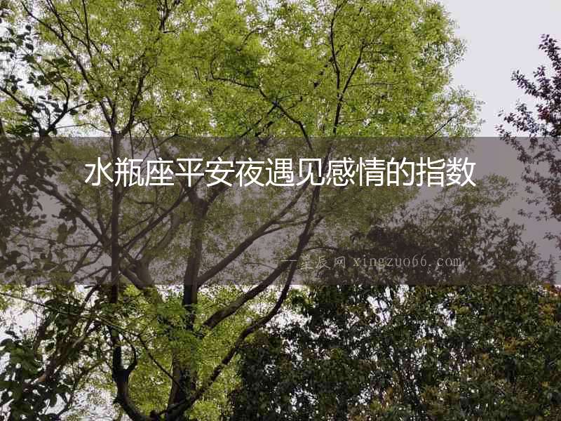 水瓶座平安夜遇見感情的指數