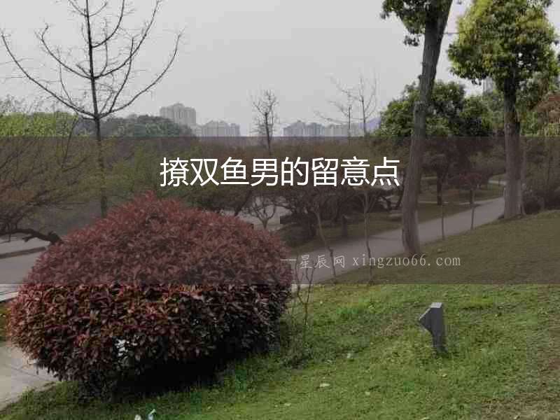 撩雙魚男的留意點