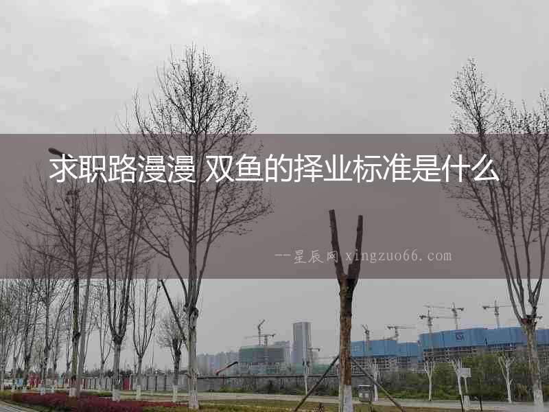 求職路漫漫 雙魚的擇業標準是什么