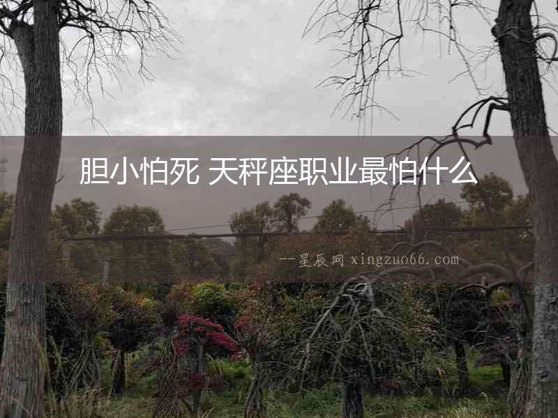 膽小怕死 天秤座職業(yè)最怕什么