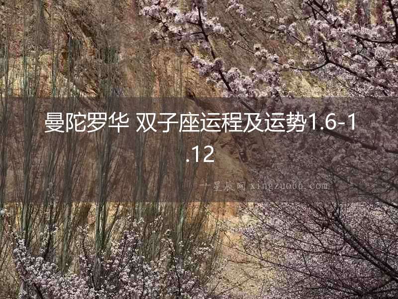 曼陀羅華 雙子座運程及運勢1.6-1.12