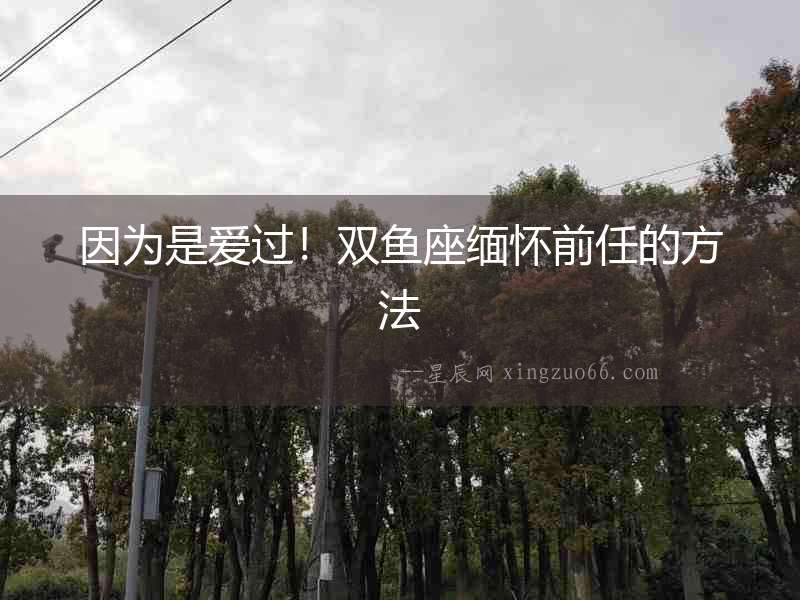 因為是愛過！雙魚座緬懷前任的方法
