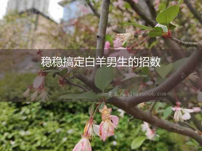 穩(wěn)穩(wěn)搞定白羊男生的招數(shù)