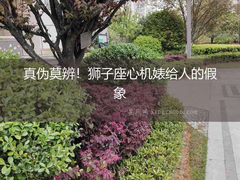 真偽莫辨！獅子座心機婊給人的假象