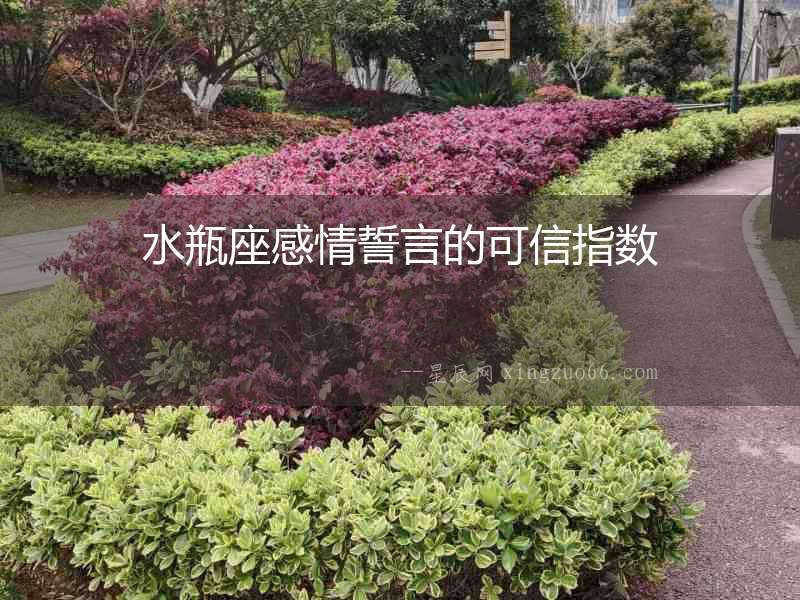 水瓶座感情誓言的可信指數