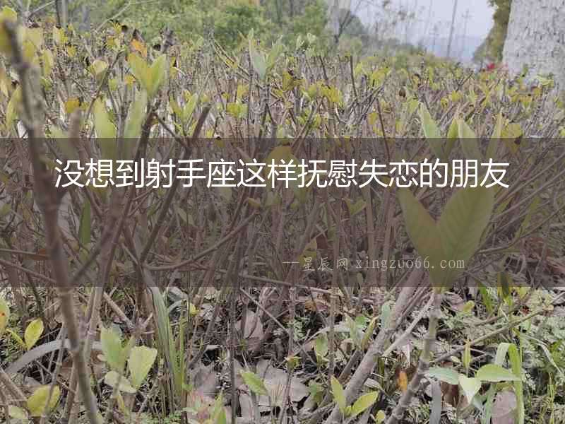 沒想到射手座這樣撫慰失戀的朋友