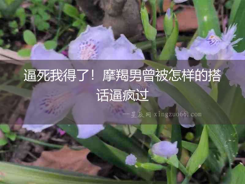 逼死我得了！摩羯男曾被怎樣的搭話逼瘋過