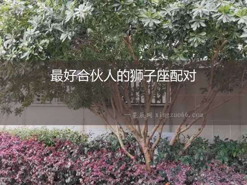 最好合伙人的獅子座配對