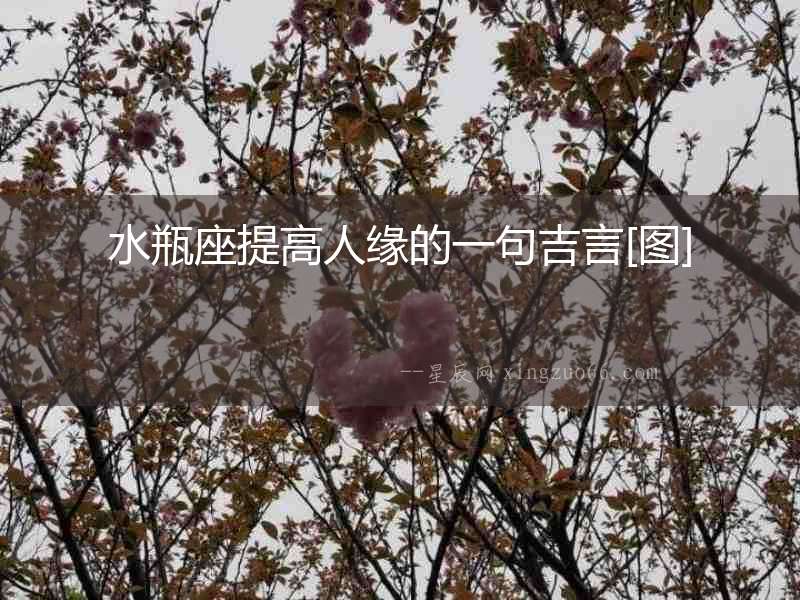 水瓶座提高人緣的一句吉言[圖]