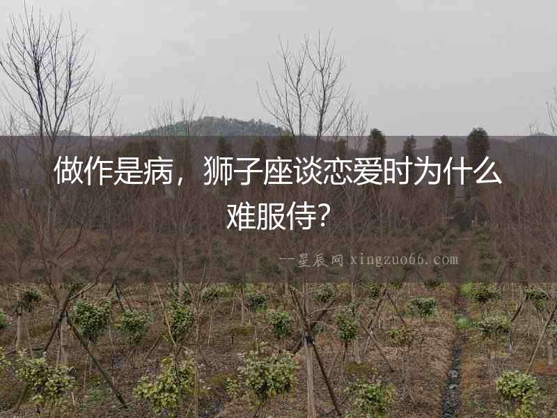 做作是病，獅子座談戀愛時為什么難服侍？
