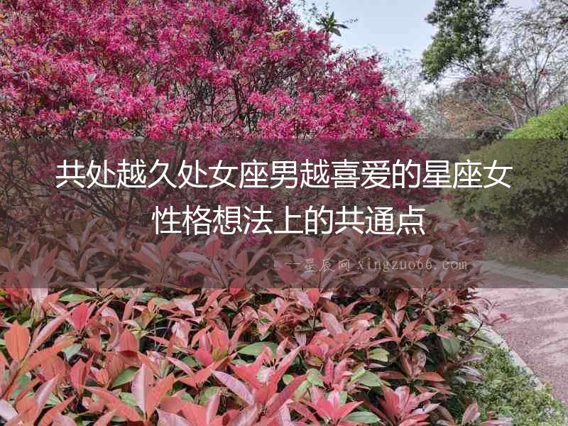 共處越久處女座男越喜愛的星座女 性格想法上的共通點