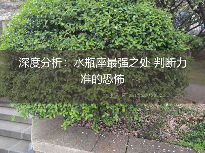 深度分析：水瓶座最強之處 判斷力準的恐怖