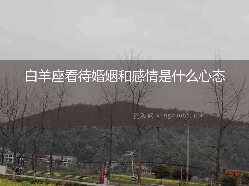 白羊座看待婚姻和感情是什么心態