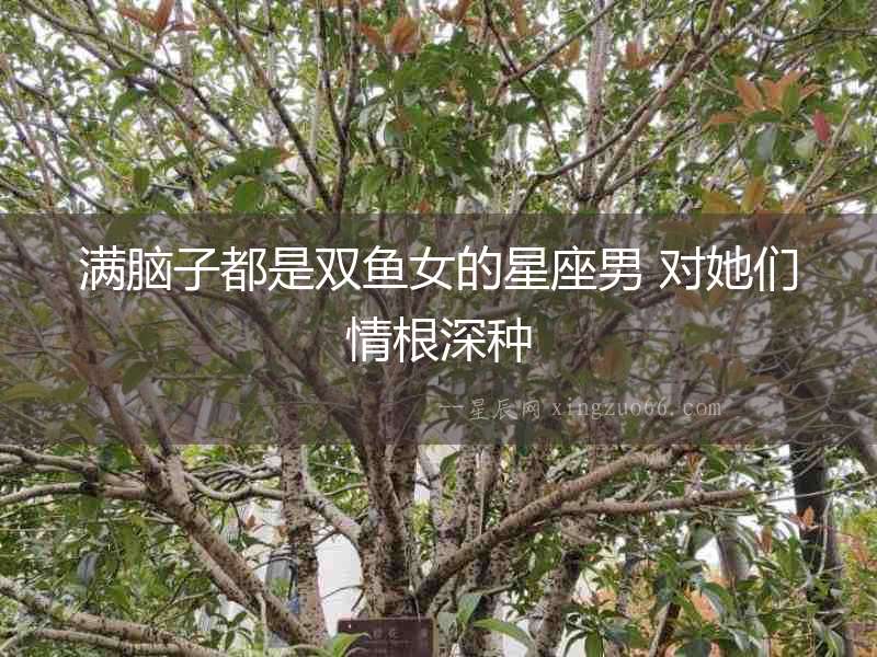 滿腦子都是雙魚女的星座男 對她們情根深種