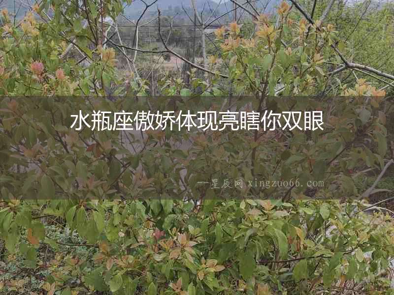 水瓶座傲嬌體現亮瞎你雙眼