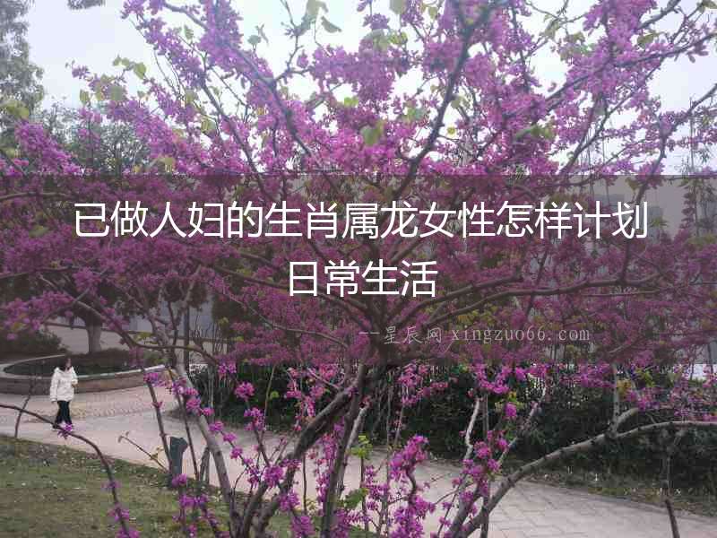 已做人婦的生肖屬龍女性怎樣計劃日常生活