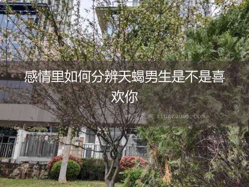 感情里如何分辨天蝎男生是不是喜歡你