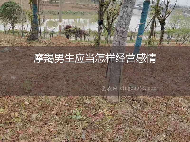 摩羯男生應當怎樣經營感情
