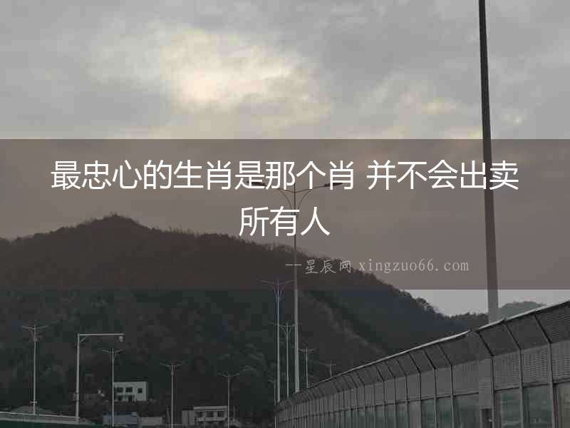 最忠心的生肖是那個肖 并不會出賣所有人
