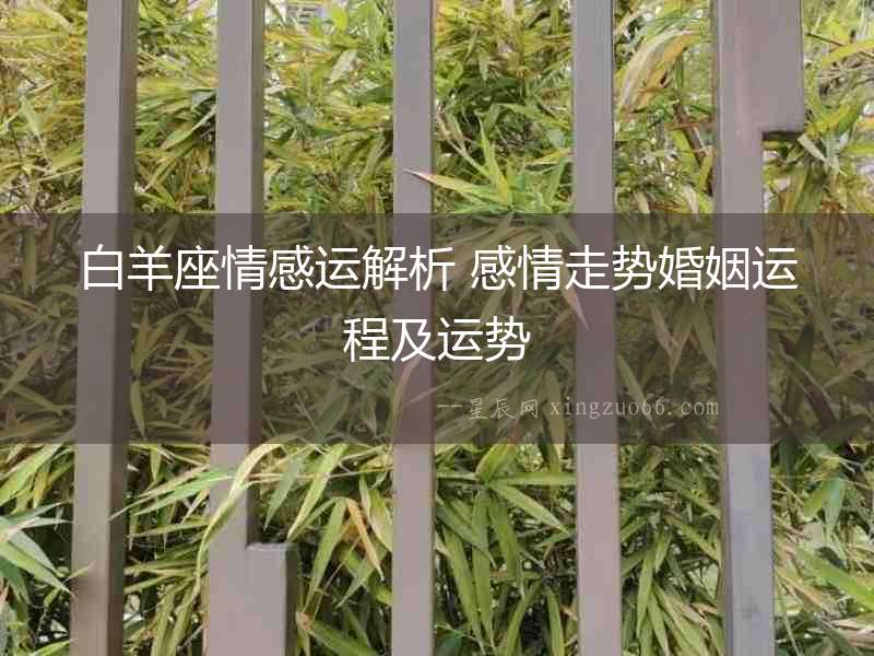 白羊座情感運解析 感情走勢婚姻運程及運勢