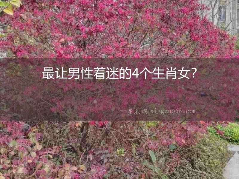 最讓男性著迷的4個生肖女？