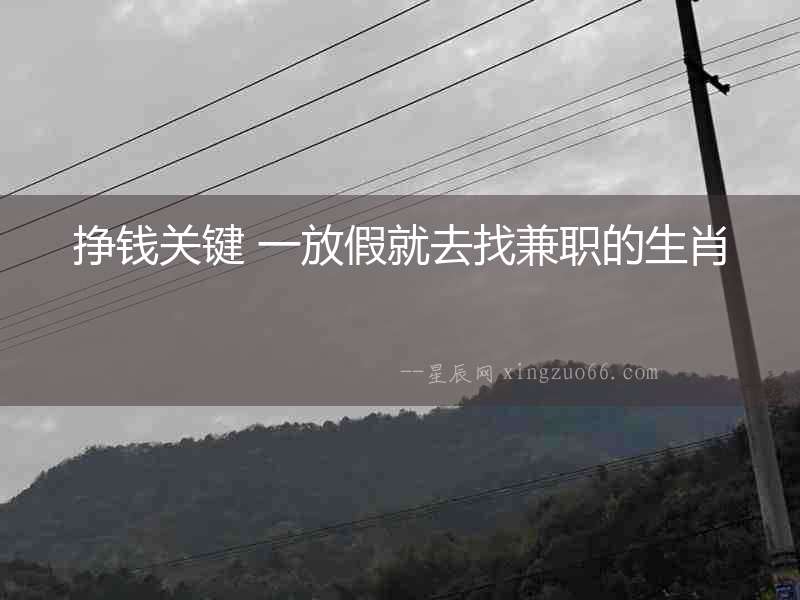 掙錢關(guān)鍵 一放假就去找兼職的生肖