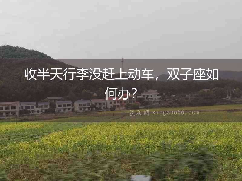 收半天行李沒趕上動車，雙子座如何辦？