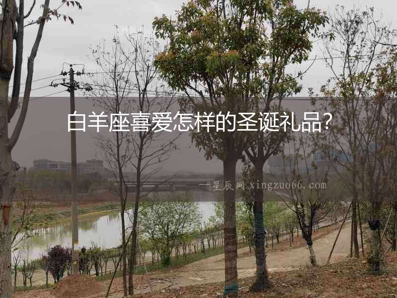 白羊座喜愛怎樣的圣誕禮品？