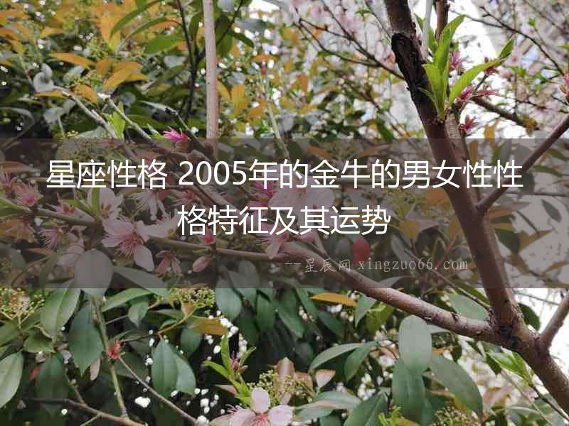 星座性格 2005年的金牛的男女性性格特征及其運勢