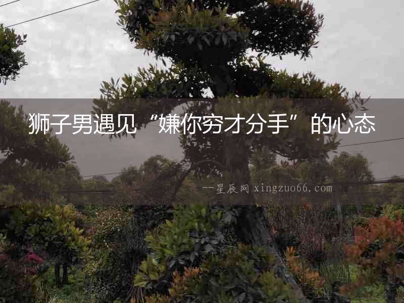 獅子男遇見“嫌你窮才分手”的心態