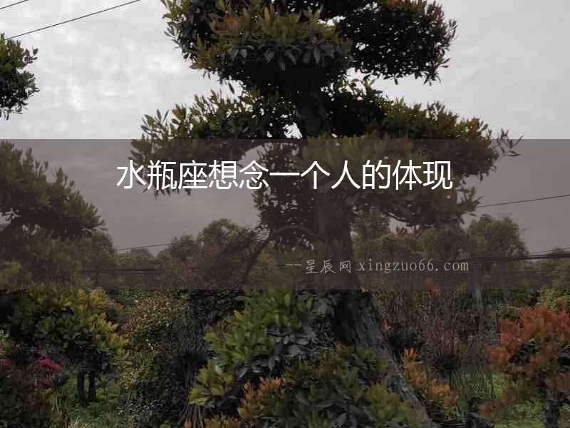 水瓶座想念一個人的體現
