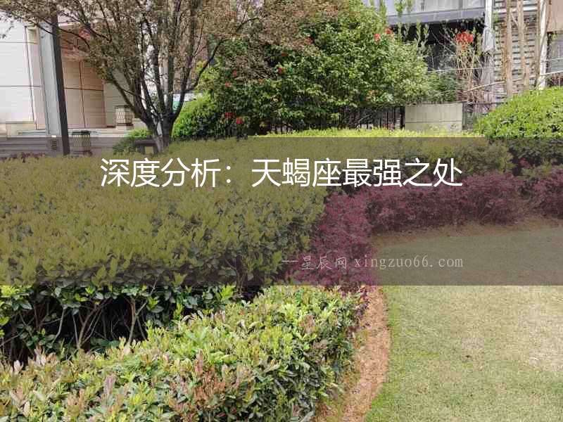 深度分析：天蝎座最強(qiáng)之處