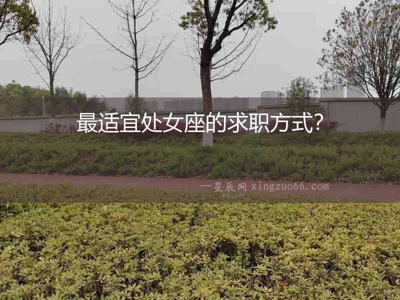 最適宜處女座的求職方式？