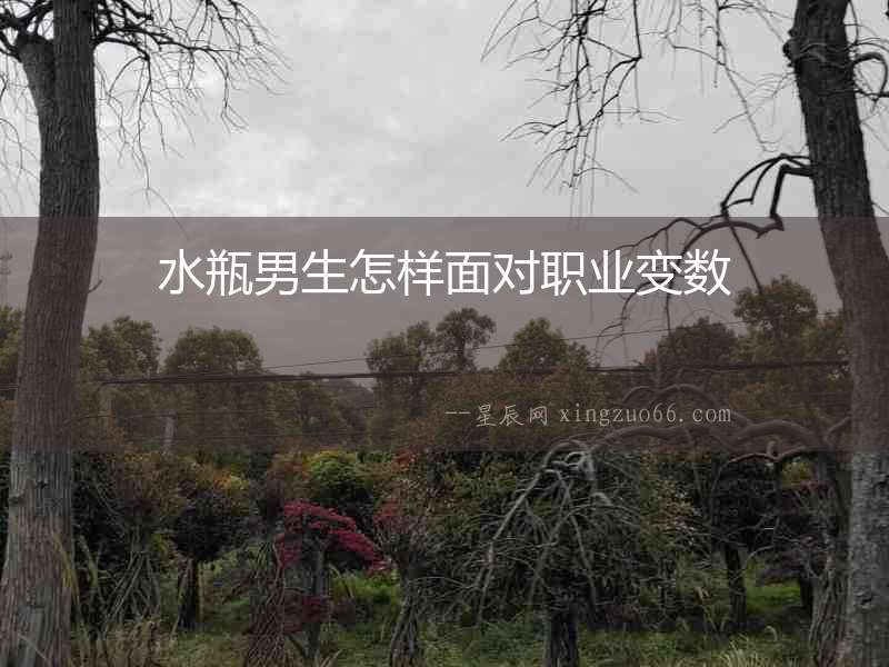 水瓶男生怎樣面對職業(yè)變數(shù)