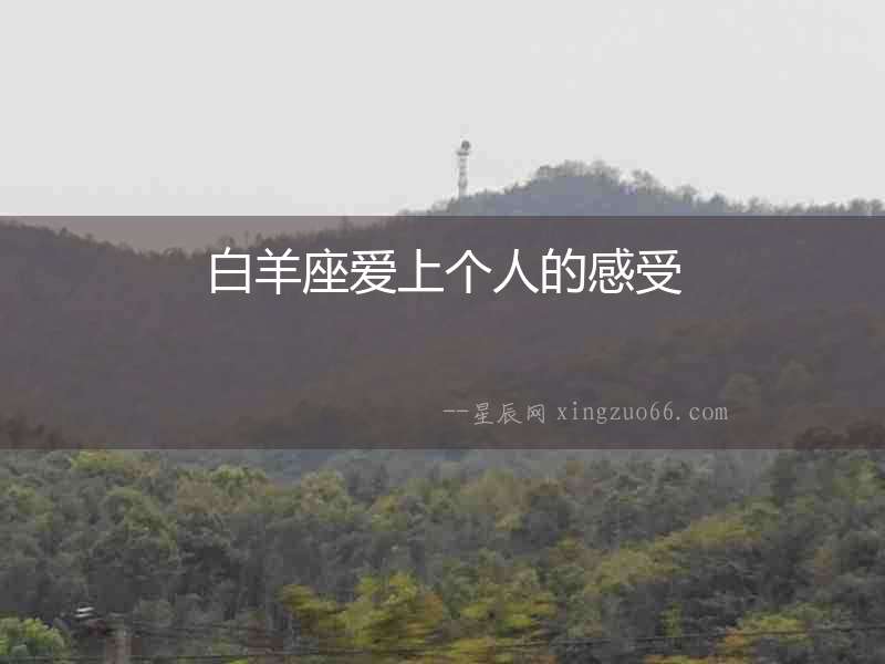 白羊座愛上個人的感受