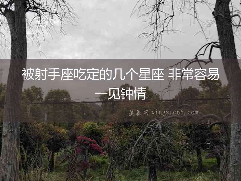 被射手座吃定的幾個星座 非常容易一見鐘情