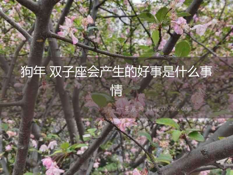 狗年 雙子座會產生的好事是什么事情