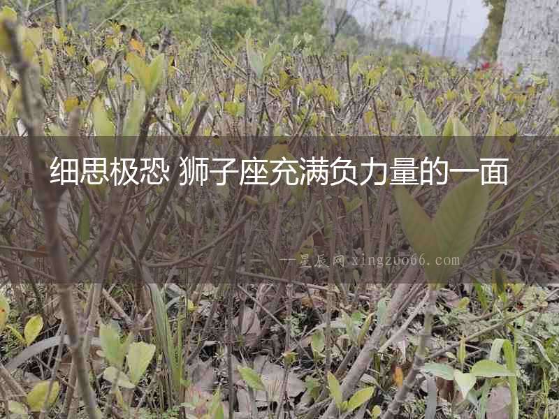 細思極恐 獅子座充滿負力量的一面