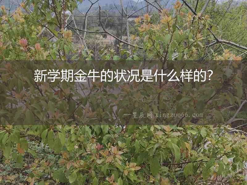 新學(xué)期金牛的狀況是什么樣的？