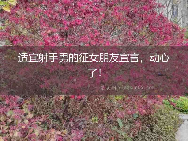 適宜射手男的征女朋友宣言，動心了！