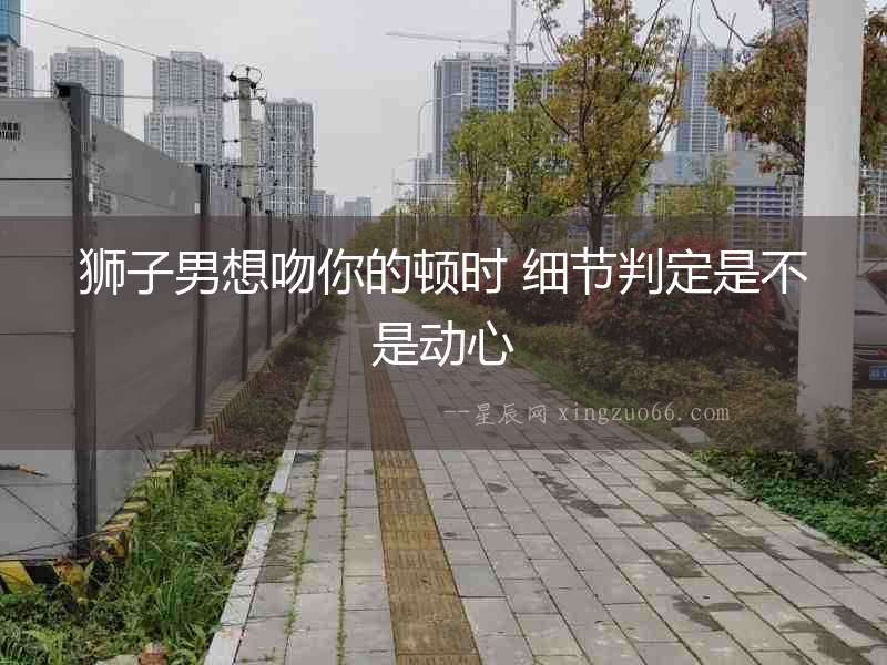 獅子男想吻你的頓時 細節判定是不是動心