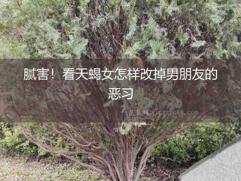 膩害！看天蝎女怎樣改掉男朋友的惡習(xí)