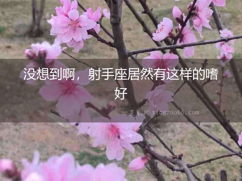沒(méi)想到啊，射手座居然有這樣的嗜好