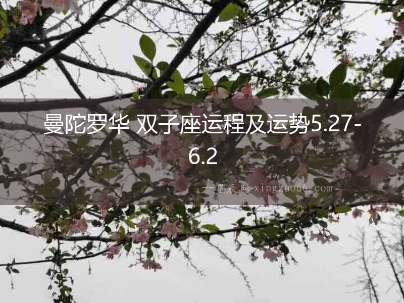 曼陀羅華 雙子座運程及運勢5.27-6.2