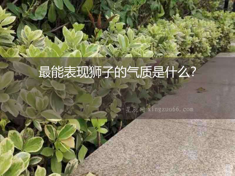 最能表現獅子的氣質是什么？