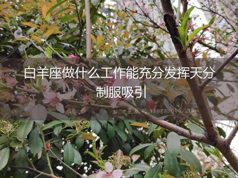 白羊座做什么工作能充分發揮天分 制服吸引